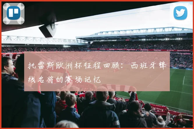 托雷斯欧洲杯征程回顾:西班牙锋线名将的赛场记忆
