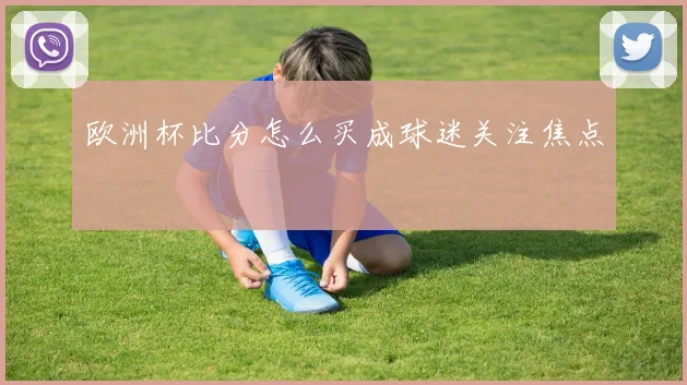 欧洲杯比分怎么买成球迷关注焦点