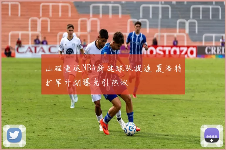 山猫重返NBA新建球队提速 夏洛特扩军计划曝光引热议