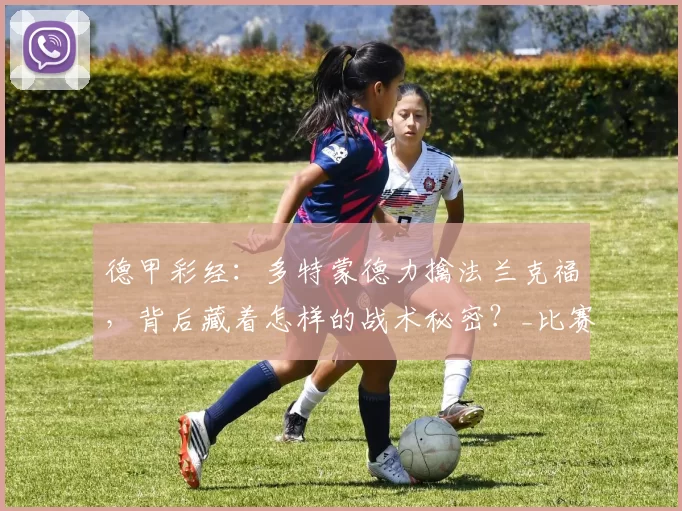 德甲彩经：多特蒙德力擒法兰克福，背后藏着怎样的战术秘密？_比赛_球迷_进攻