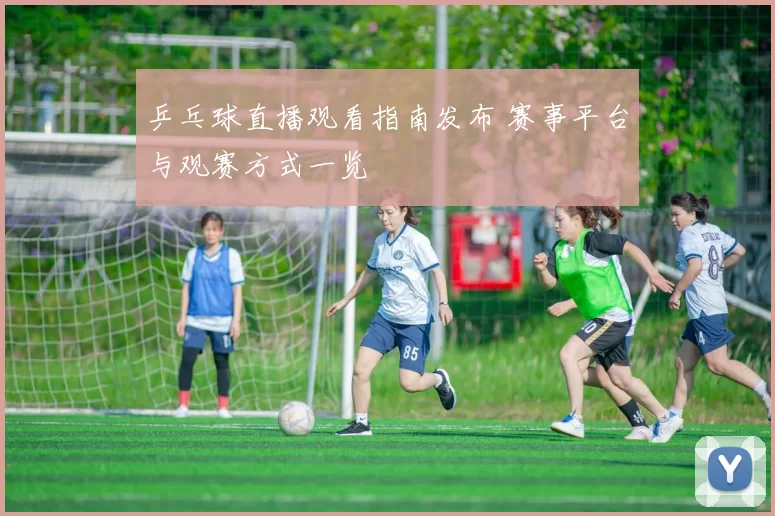 乒乓球直播观看指南发布 赛事平台与观赛方式一览