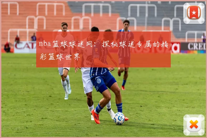 nba篮球球迷网：探秘球迷专属的精彩篮球世界