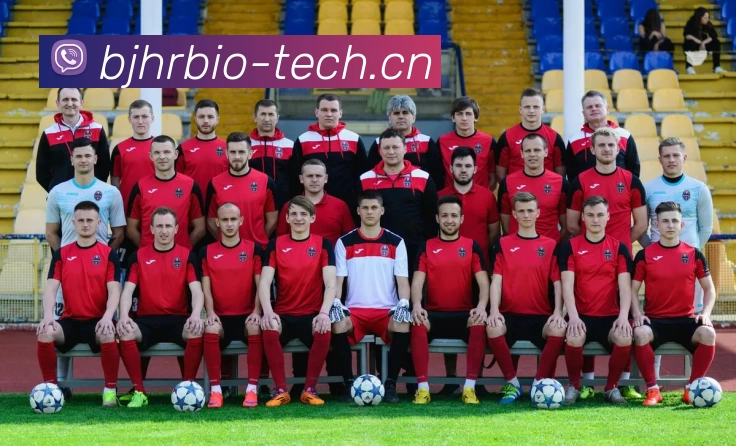 澳门正规电子游戏平台平台生态图